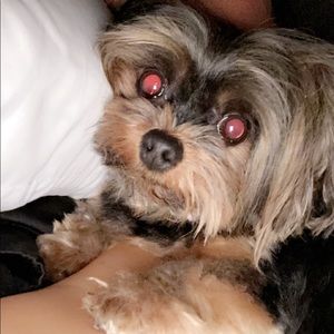 Meet your Posher, Chloe